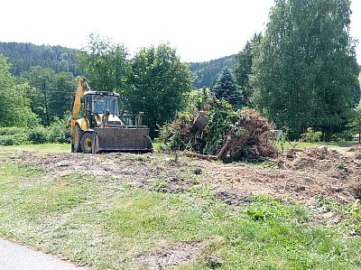 Odborné odstranění pařezů a čištění zahrady