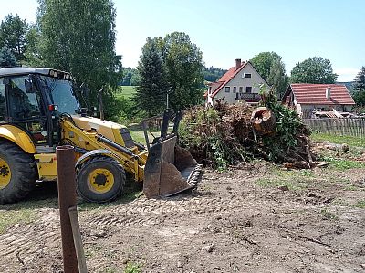 Odborné odstranění pařezů a čištění zahrady